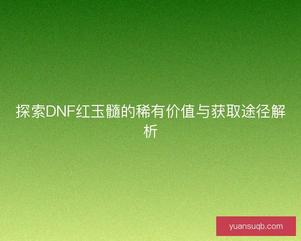 探索DNF红玉髓的稀有价值与获取途径解析