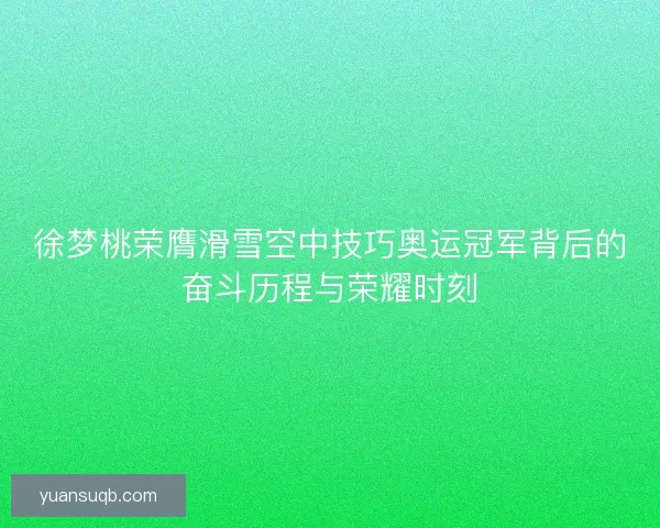 徐梦桃荣膺滑雪空中技巧奥运冠军背后的奋斗历程与荣耀时刻