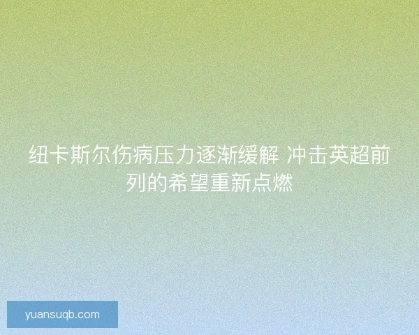 纽卡斯尔伤病压力逐渐缓解 冲击英超前列的希望重新点燃